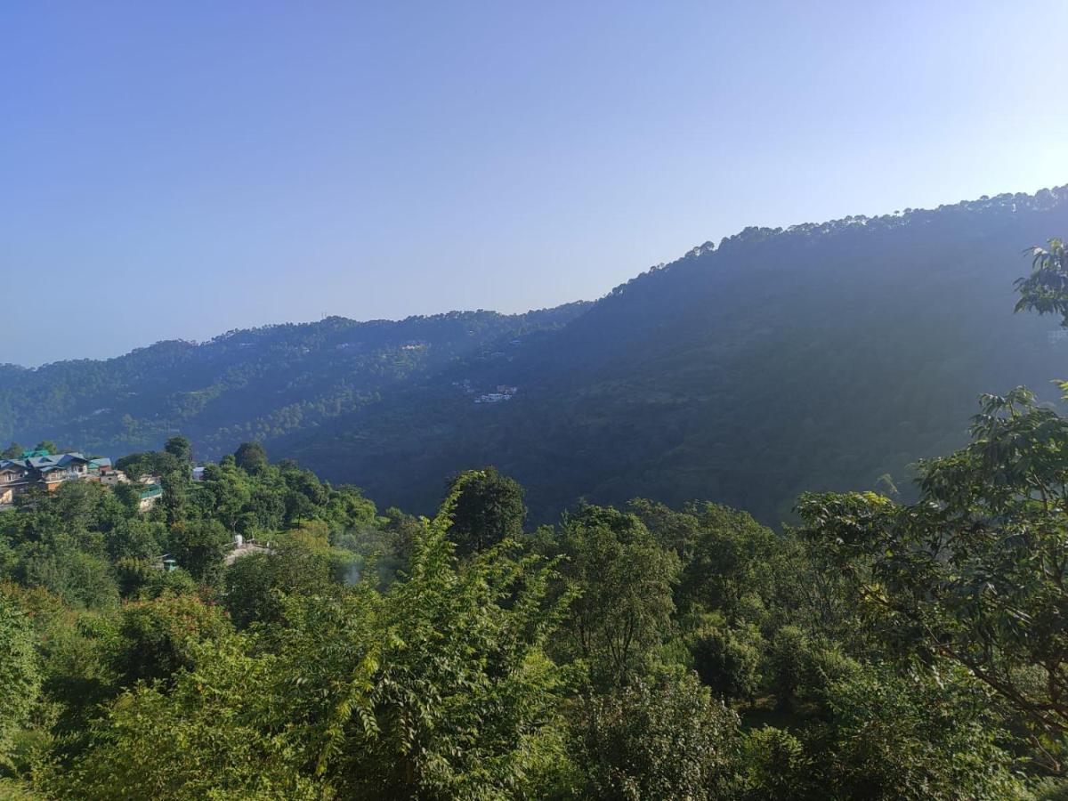 Idyllic Private Cottage W/King Bed + Mountain View Kasauli Dış mekan fotoğraf