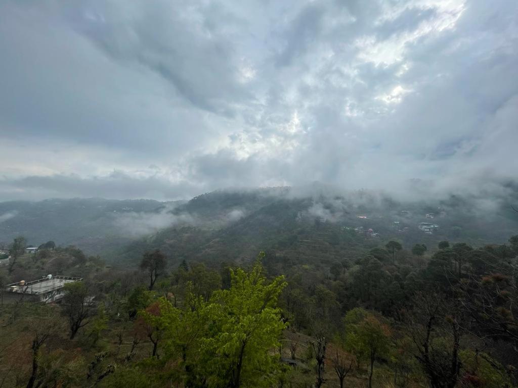 Idyllic Private Cottage W/King Bed + Mountain View Kasauli Dış mekan fotoğraf