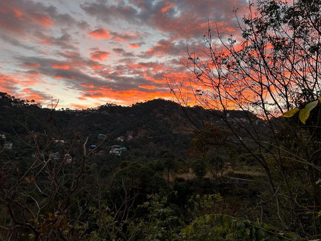 Idyllic Private Cottage W/King Bed + Mountain View Kasauli Dış mekan fotoğraf