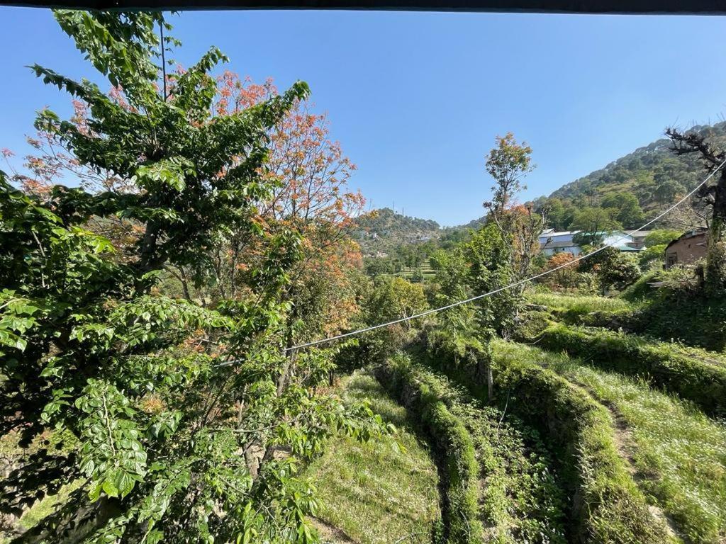 Idyllic Private Cottage W/King Bed + Mountain View Kasauli Dış mekan fotoğraf