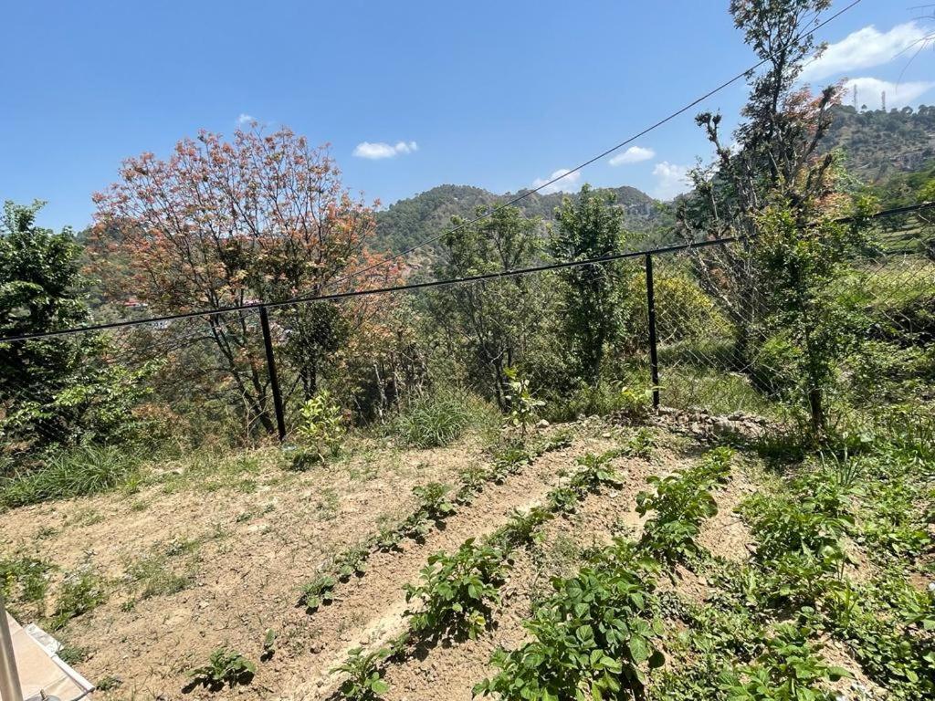 Idyllic Private Cottage W/King Bed + Mountain View Kasauli Dış mekan fotoğraf